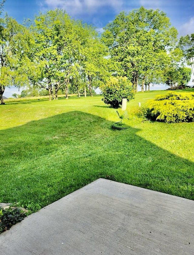 133 Mcintosh Park, Georgetown, KY 40324 - view of green lawn