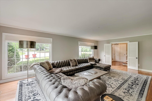 235 Westover Rd, Frankfort, KY 40601 - living room with plenty of natural light, light wood finished floors, and crown molding