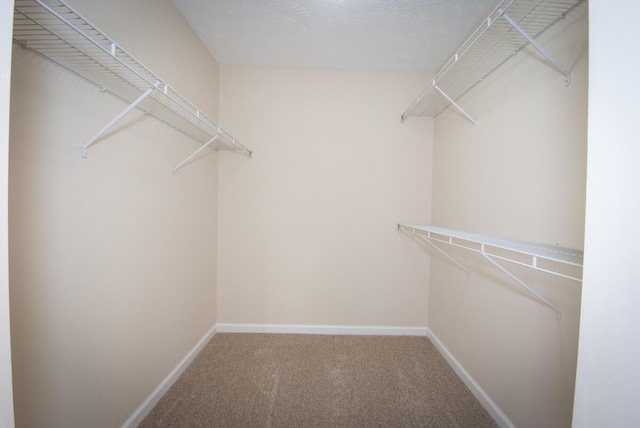 102 Academy Dr, Wilmore, KY 40390 - spacious closet featuring carpet flooring