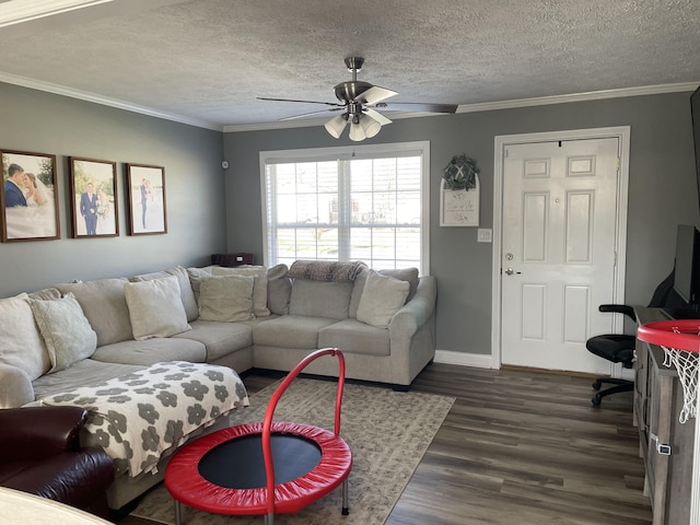 310 Yorktown Dr, Paris, KY 40361 - living area featuring a ceiling fan, a textured ceiling, crown molding, dark wood-style flooring, and baseboards