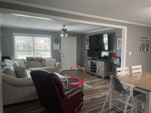 310 Yorktown Dr, Paris, KY 40361 - living room featuring a textured ceiling, dark wood finished floors, ceiling fan, and ornamental molding