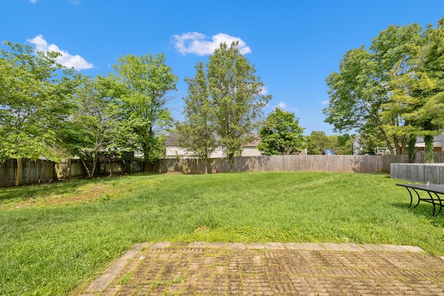 1109 Seville Ct, Lexington, KY 40515 - view of yard