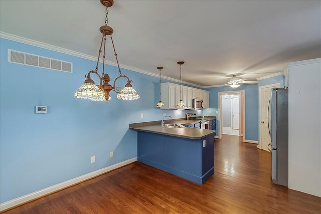 3373 Malone Dr, Lexington, KY 40513 - kitchen featuring stainless steel appliances, a sink, a peninsula, ceiling fan, and dark wood-style floors