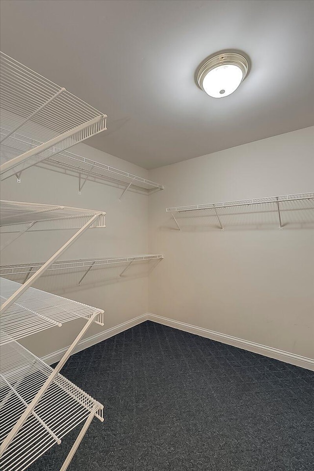3373 Malone Dr, Lexington, KY 40513 - spacious closet featuring carpet flooring