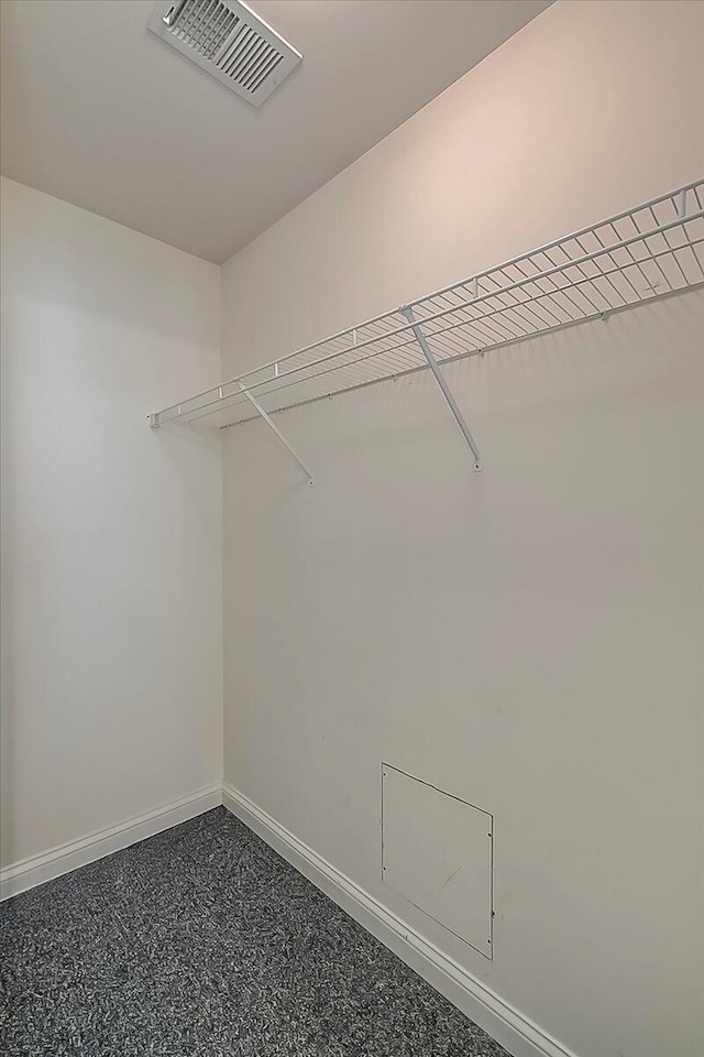 3373 Malone Dr, Lexington, KY 40513 - view of walk in closet