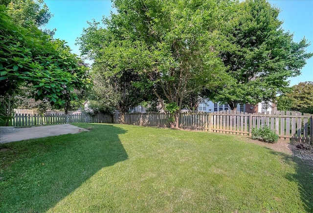 3373 Malone Dr, Lexington, KY 40513 - view of yard