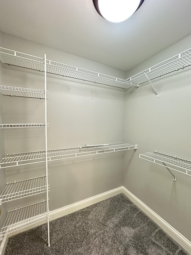 3217 Malone Dr, Lexington, KY 40513 - spacious closet with carpet flooring