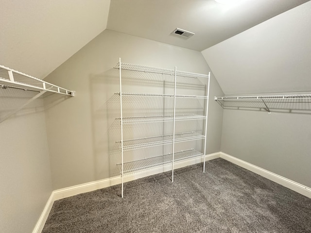 3217 Malone Dr, Lexington, KY 40513 - walk in closet with vaulted ceiling and carpet flooring