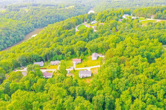15 April Ln, Corbin, KY 40701 - bird's eye view of a forest