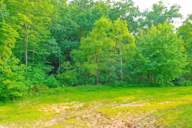 15 April Ln, Corbin, KY 40701 - view of yard with a view of trees