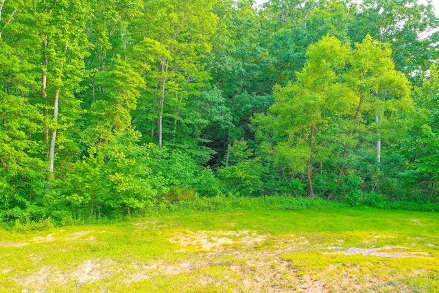 15 April Ln, Corbin, KY 40701 - view of yard with a wooded view