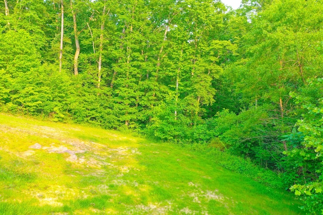 15 April Ln, Corbin, KY 40701 - view of yard with a forest view