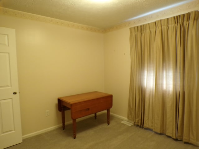 706 Allf Ln, London, KY 40741 - spare room with light colored carpet and a textured ceiling