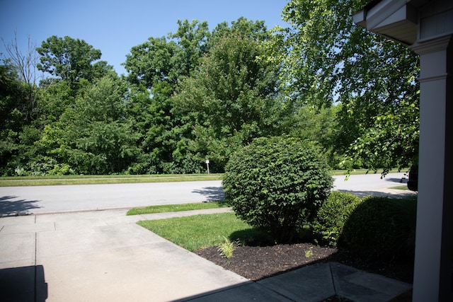 4745 Willman Way, Lexington, KY 40509 - view of patio