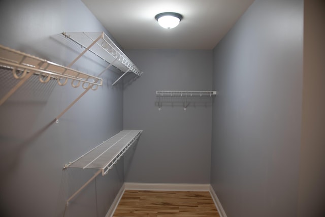 4745 Willman Way, Lexington, KY 40509 - spacious closet featuring light wood-style flooring
