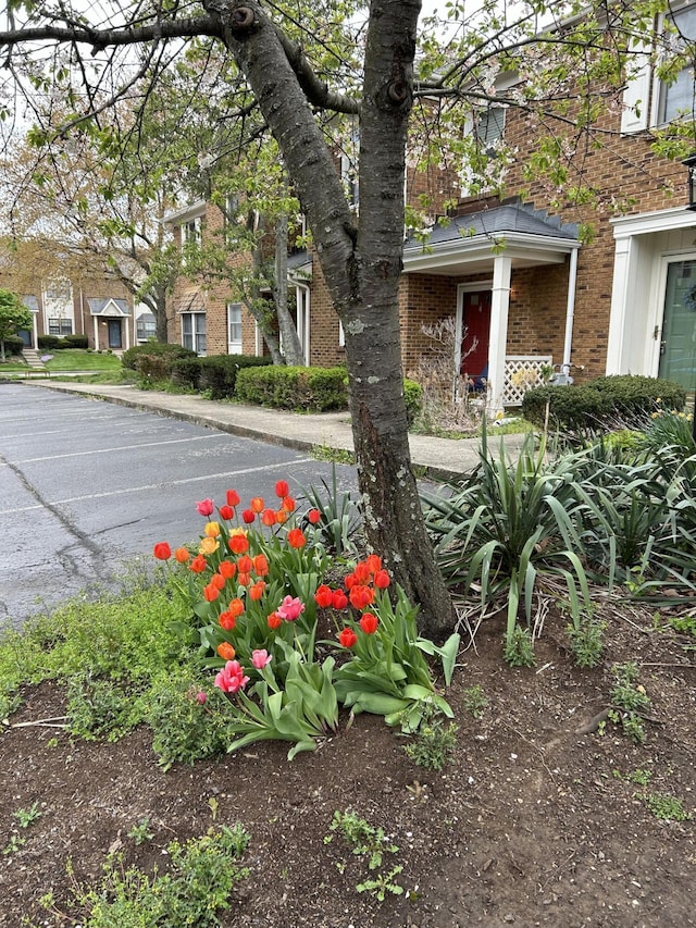 1125 Turkey Foot Rd Unit 3, Lexington, KY 40502 - view of yard