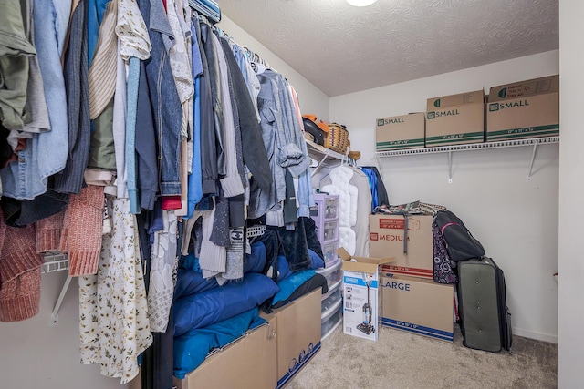 753 Woodhaven Pl, Lexington, KY 40514 - walk in closet with carpet