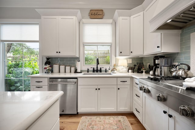 4291 Captains Ct, Lexington, KY 40513 - kitchen with stainless steel appliances, premium range hood, a sink, white cabinetry, and decorative backsplash