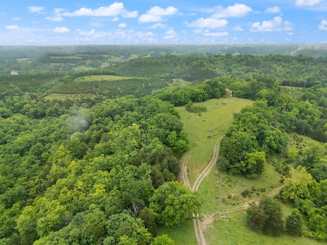 2125 High Reeves Spur 1, Richmond, KY 40475 - aerial view of property's location featuring a heavily wooded area