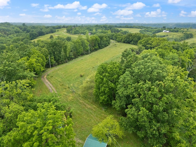 2125 High Reeves Spur 1, Richmond, KY 40475 - bird's eye view