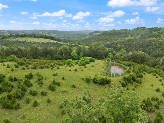 2125 High Reeves Spur 1, Richmond, KY 40475 - view of mountain background with a heavily wooded area and a nearby body of water
