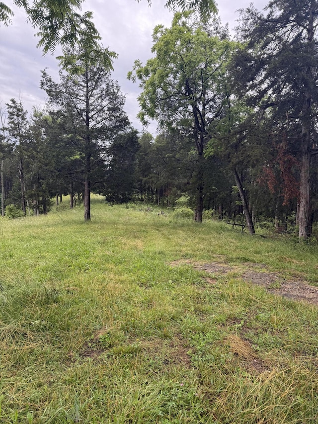 2125 High Reeves Spur 1, Richmond, KY 40475 - view of yard with a wooded view
