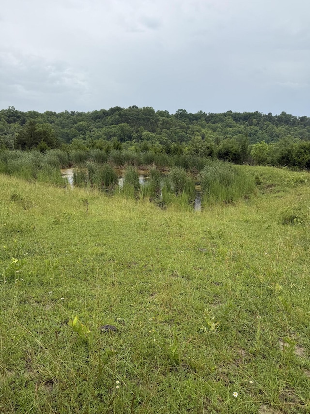 2125 High Reeves Spur 1, Richmond, KY 40475 - view of undeveloped land