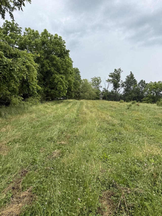 2125 High Reeves Spur 1, Richmond, KY 40475 - view of yard