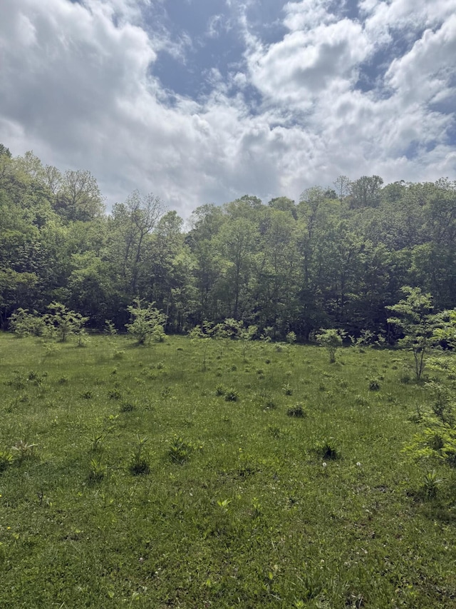 2125 High Reeves Spur 1, Richmond, KY 40475 - view of yard