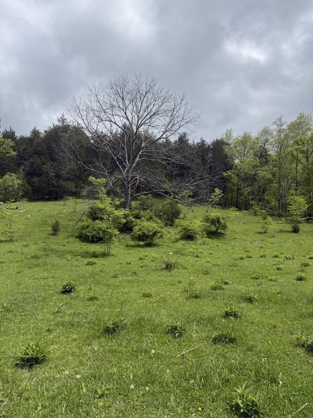 2125 High Reeves Spur 1, Richmond, KY 40475 - view of local wilderness