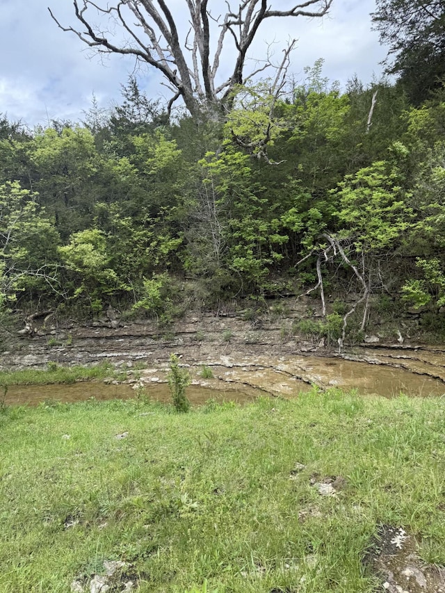 2125 High Reeves Spur 1, Richmond, KY 40475 - view of yard