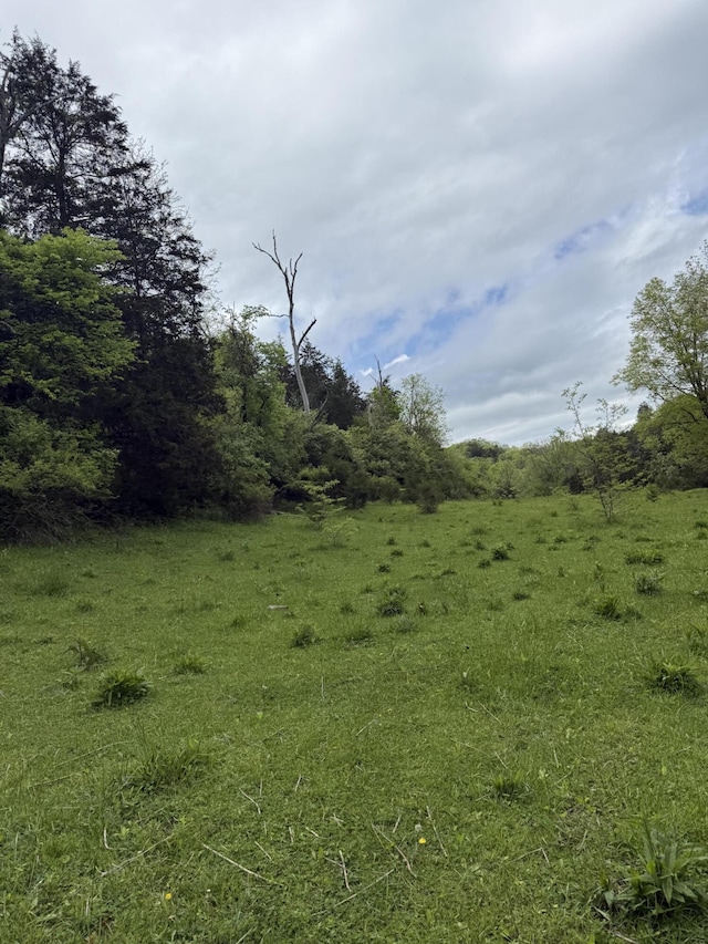2125 High Reeves Spur 1, Richmond, KY 40475 - view of nature