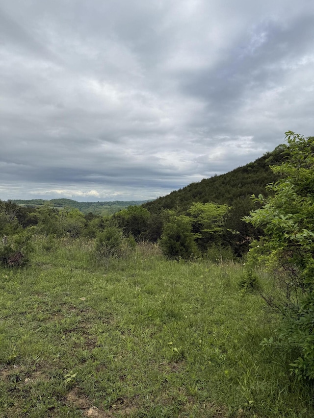 2125 High Reeves Spur 1, Richmond, KY 40475 - view of mountain background