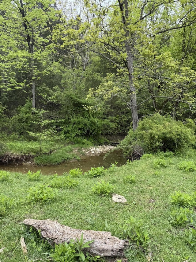 2125 High Reeves Spur 1, Richmond, KY 40475 - view of yard featuring a wooded view
