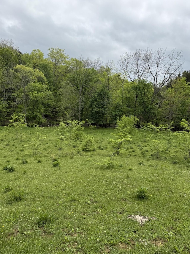 2125 High Reeves Spur 1, Richmond, KY 40475 - view of tree filled area