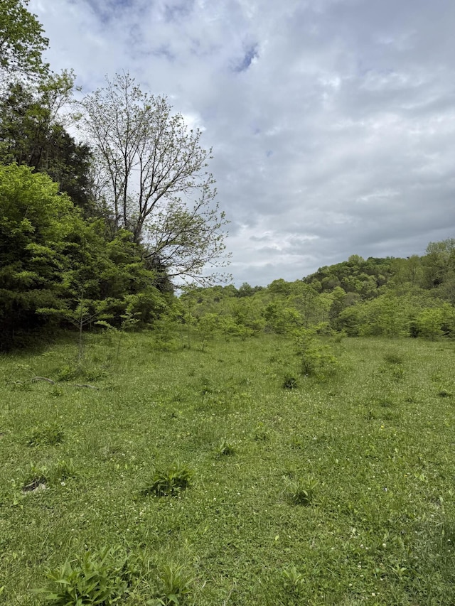 2125 High Reeves Spur 1, Richmond, KY 40475 - view of undeveloped land