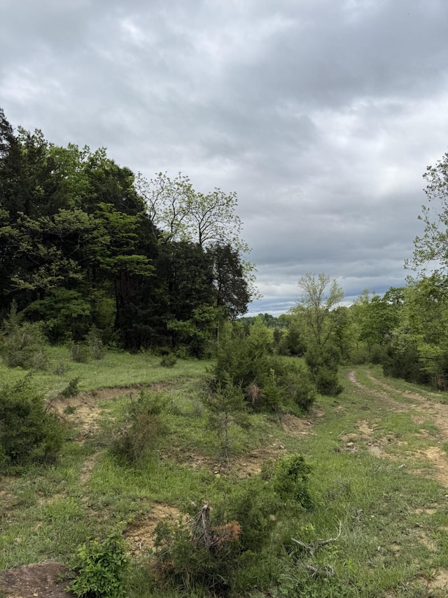 2125 High Reeves Spur 1, Richmond, KY 40475 - view of woods