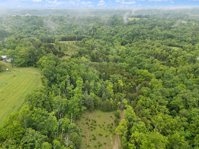 2125 High Reeves Spur 1, Richmond, KY 40475 - aerial view of a heavily wooded area