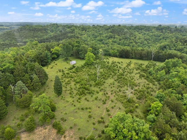 2125 High Reeves Spur 1, Richmond, KY 40475 - bird's eye view of a heavily wooded area