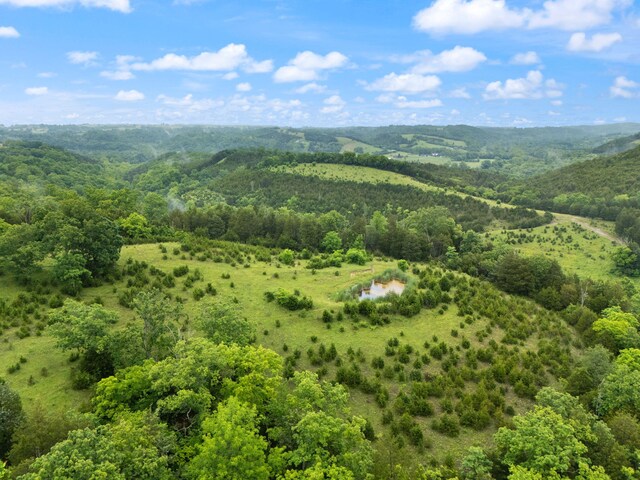 2125 High Reeves Spur 1, Richmond, KY 40475 - bird's eye view of a forest