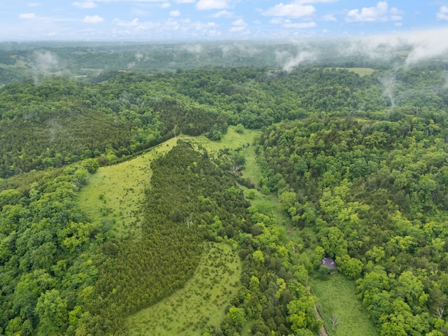 2125 High Reeves Spur 1, Richmond, KY 40475 - bird's eye view of a heavily wooded area