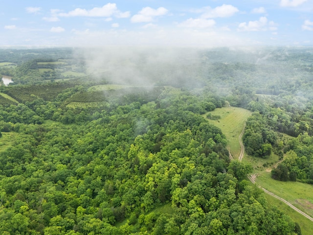 2125 High Reeves Spur 1, Richmond, KY 40475 - aerial view of a forest