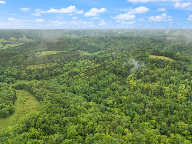 2125 High Reeves Spur 1, Richmond, KY 40475 - drone / aerial view of a heavily wooded area