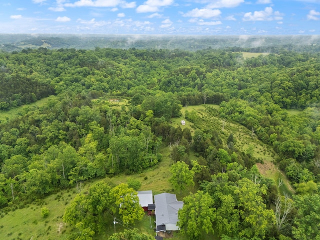 2125 High Reeves Spur 1, Richmond, KY 40475 - drone / aerial view of a heavily wooded area