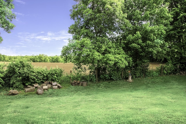 113 Bramble Ct, Nicholasville, KY 40356 - view of grassy yard