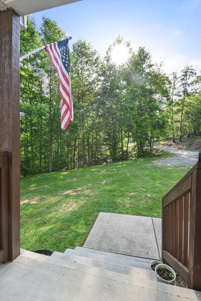 1008 Ramsey Branch Rd, Artemus, KY 40903 - view of green lawn