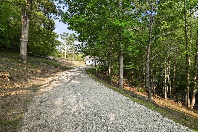 1008 Ramsey Branch Rd, Artemus, KY 40903 - view of dirt / gravel driveway