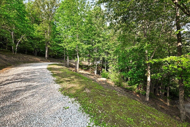 1008 Ramsey Branch Rd, Artemus, KY 40903 - view of street featuring a wooded view
