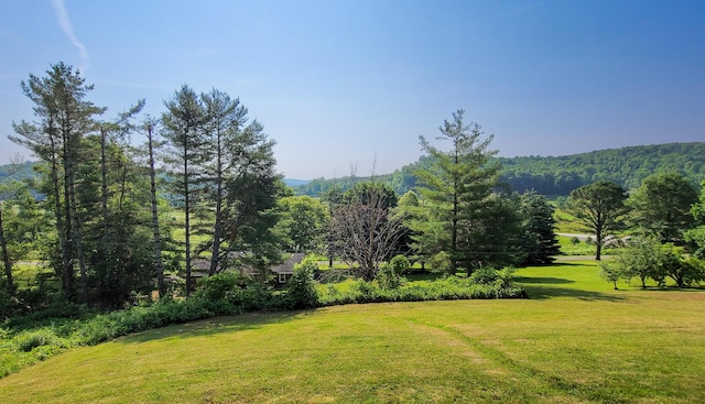 754 Countryside Cir, Mount Vernon, KY 40456 - view of grassy yard with a view of trees