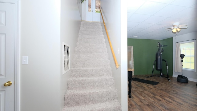 754 Countryside Cir, Mount Vernon, KY 40456 - stairs with wood finished floors, ceiling fan, and a paneled ceiling